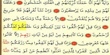 Yasin Suresi 4 Sayfa, Okunuşu ve Anlamı Yasin Suresi 4 Sayfa